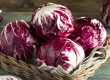 Curiosità e benefici del radicchio tondo